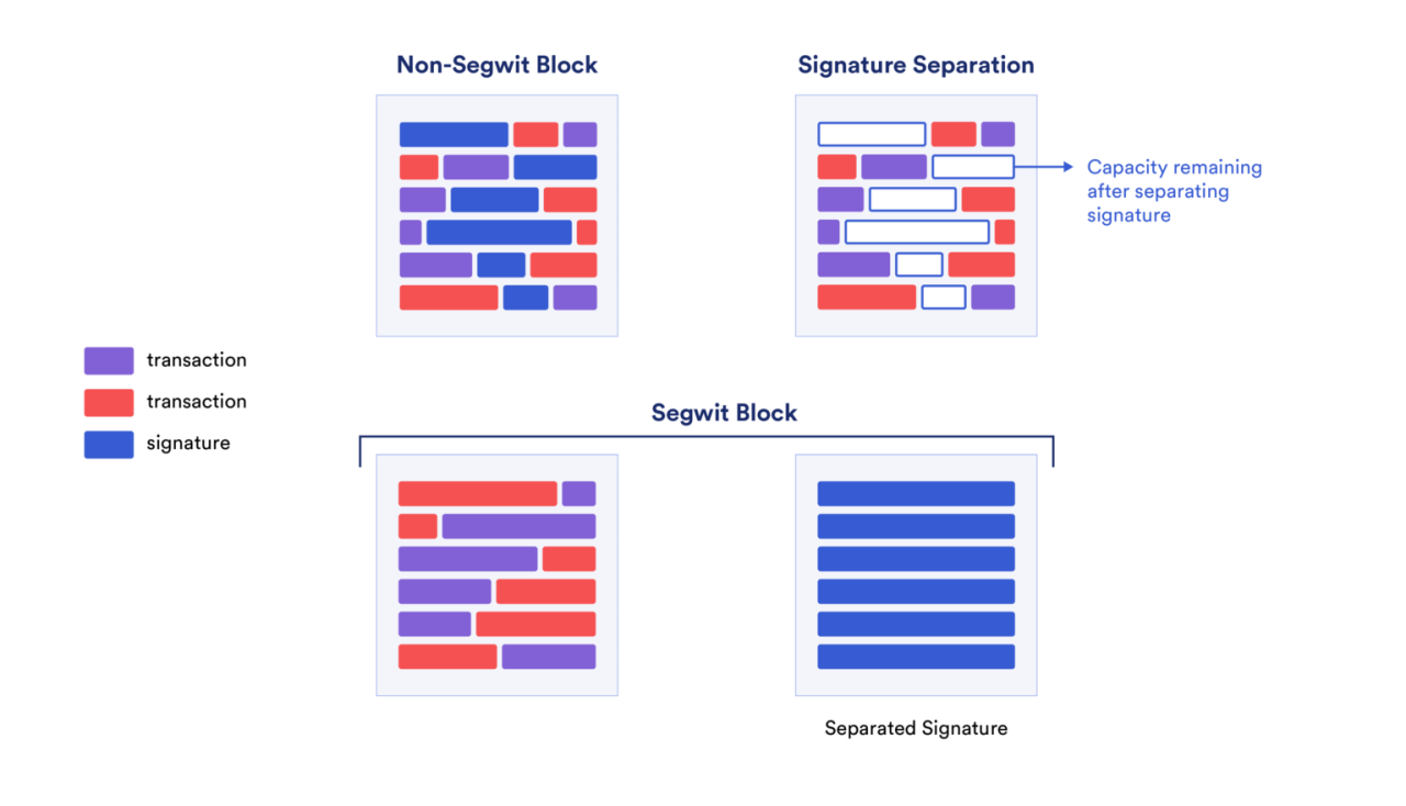 SegWit 将交易和见证（签名）数据分成不同的部分，并允许将任意数据存储在见证部分中